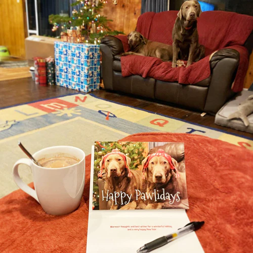 User Generated Content User Reviews