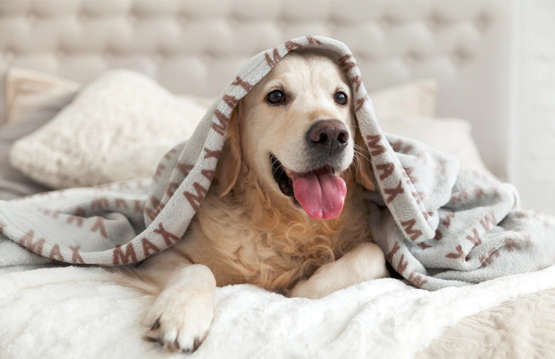 Large custom mink touch blanket on double bed with picture collage of family photos