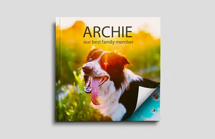 Soft Cover Photo Books