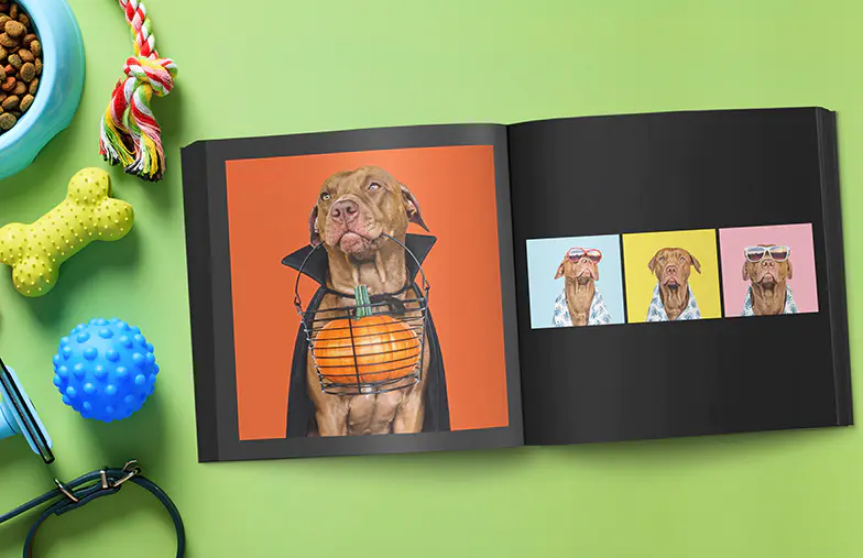 Modern Moments In Black Photo Book