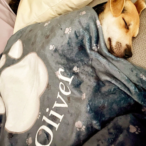 I was pleasantly surprised by how much my dog loves being covered by his blanket. The quality is so good, and the material is incredibly soft. Fantastic service.