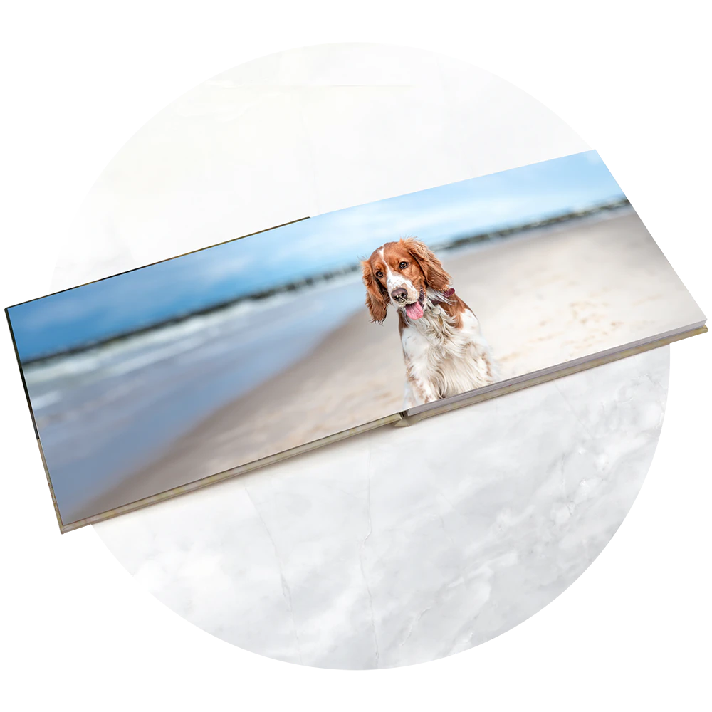 Fast Delivery: Dispatched within 24 hours for faster delivery.